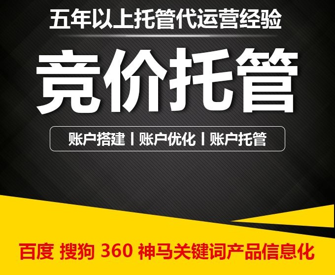 昆明專業競價托管公司報價