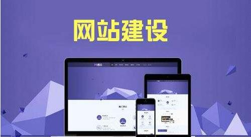 模板網站與定制網站在百度競價推廣過程中情況分析