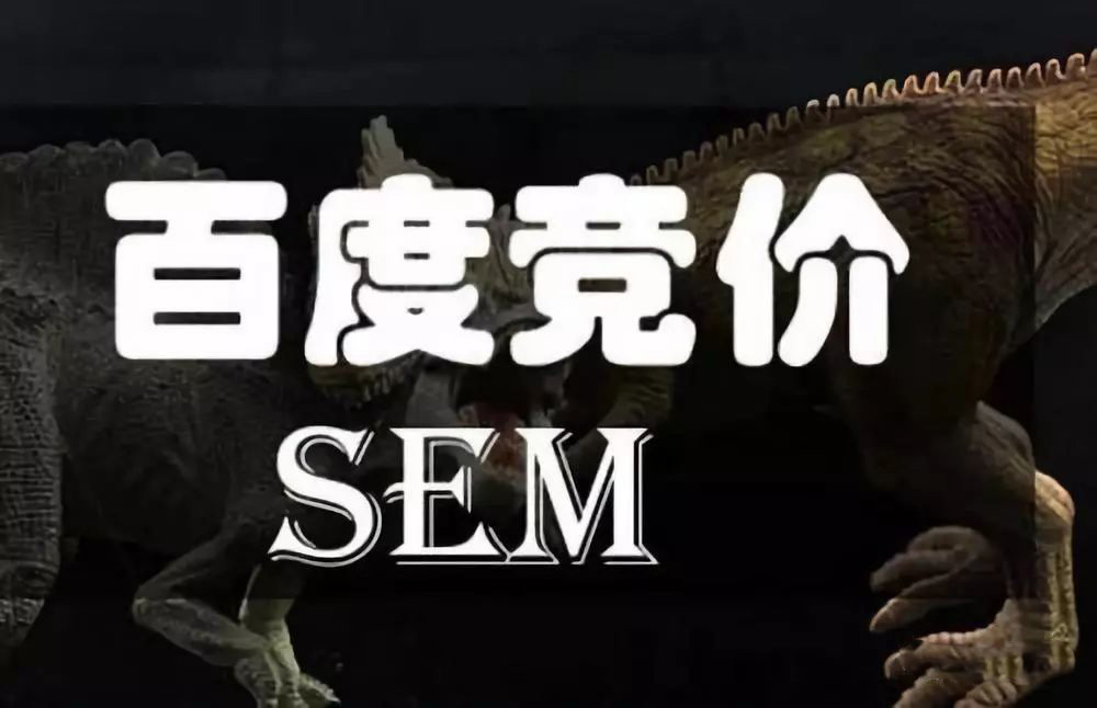 怎么做競價推廣