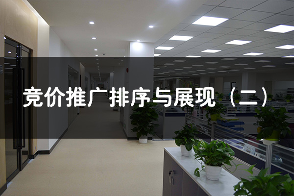 競價推廣排序與展現（一）--競價托管有什么優勢
